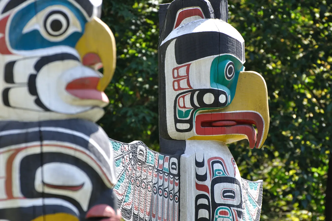 Indigenous Images